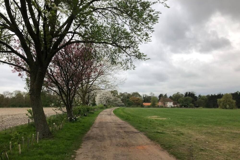 Photo of Others in Birch