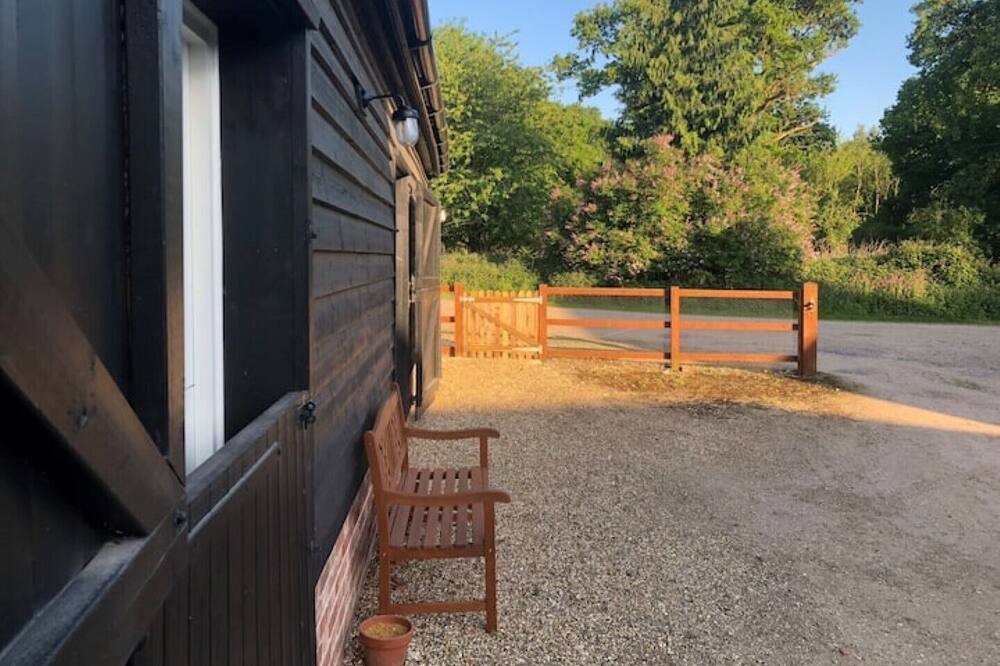 Photo of Outdoor in Birch