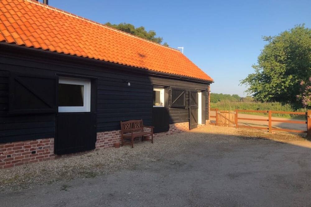 Photo of Outdoor in Birch