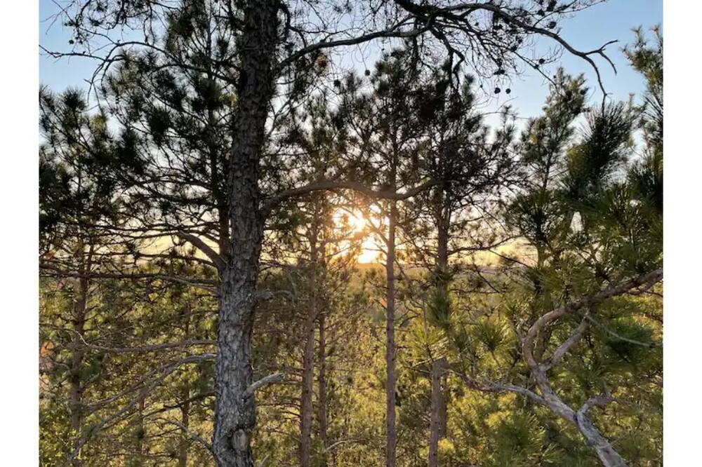 Photo of Outdoor in Warrens