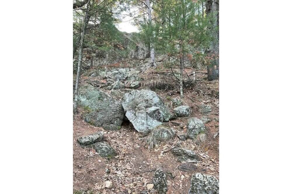 Photo of Outdoor in Warrens