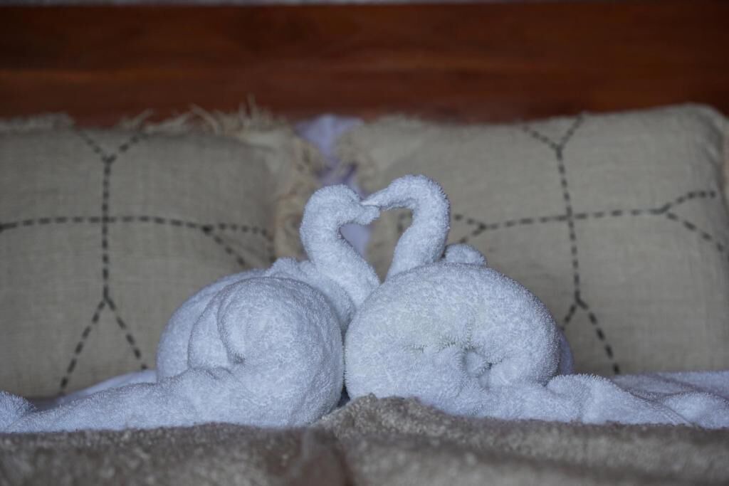 Photo of Bedroom in Mushroom Bay