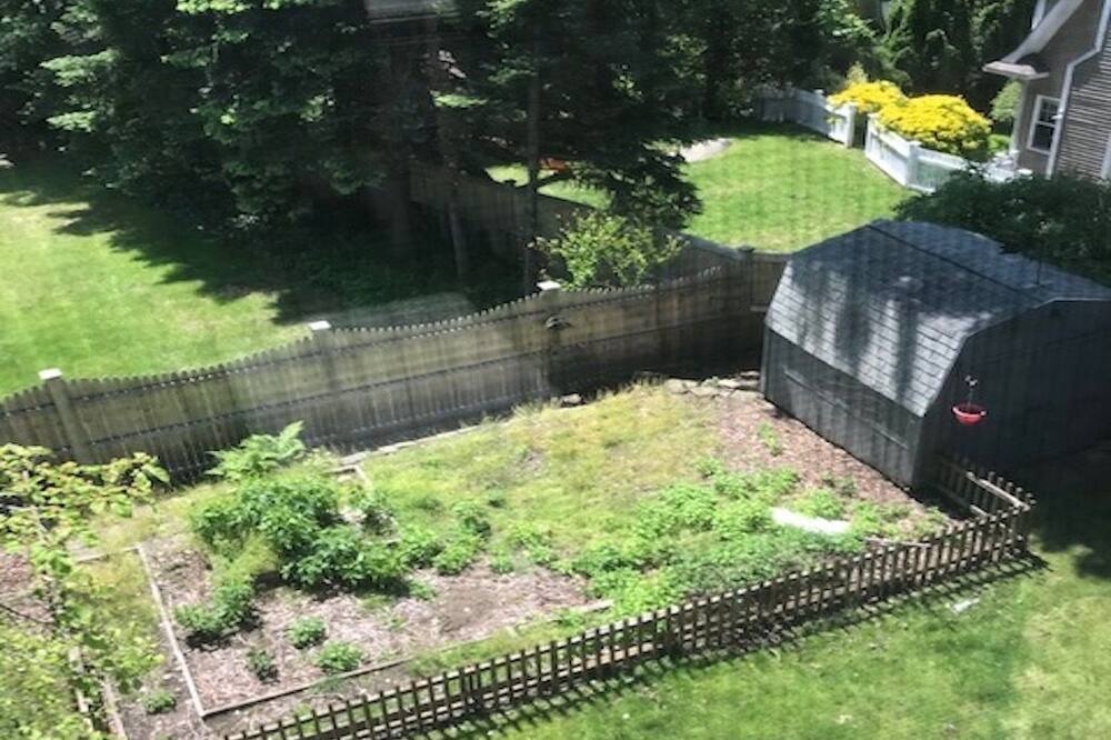 Photo of Others in Greenwich