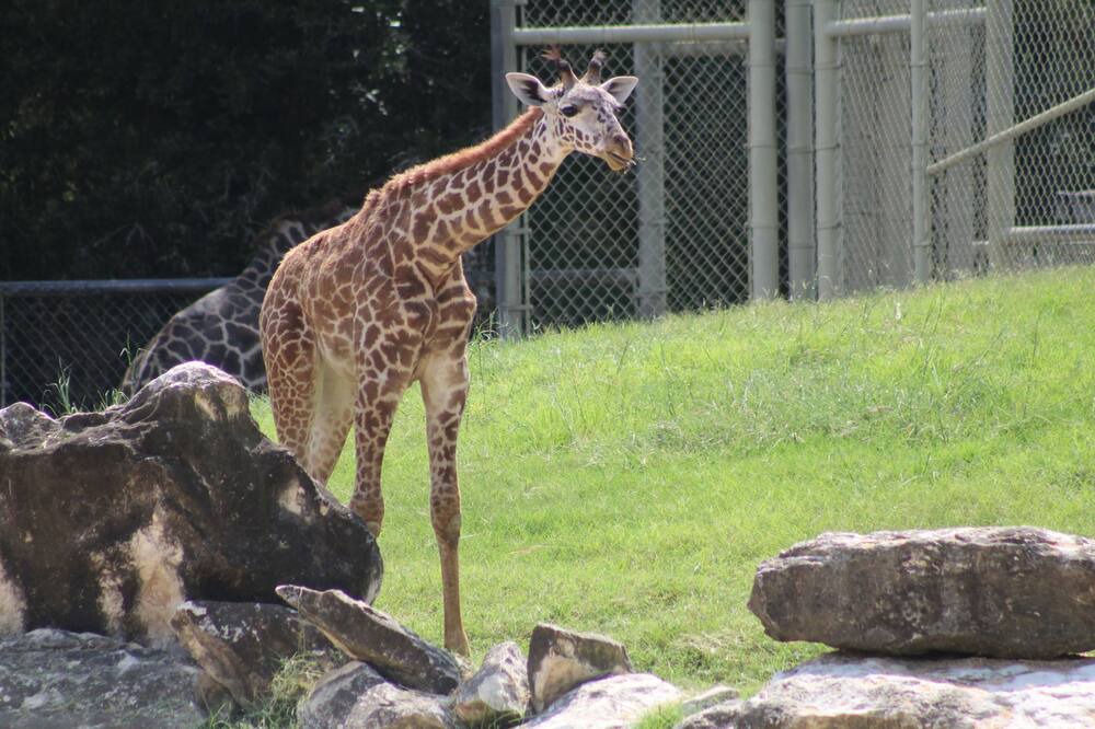 Photo of Others in Woodway