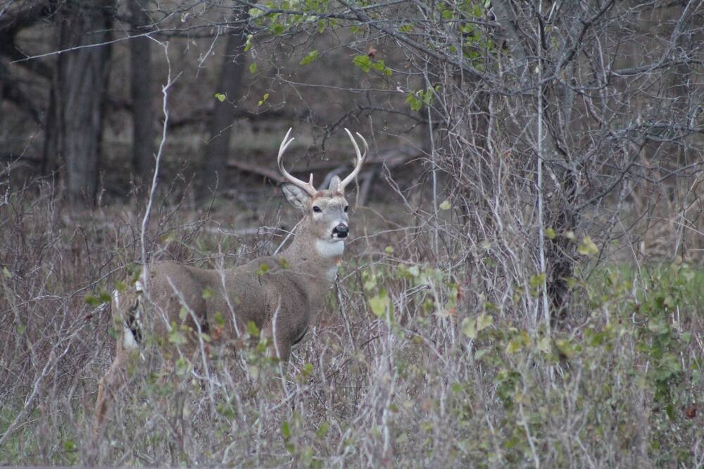 Photo of Others in Woodway
