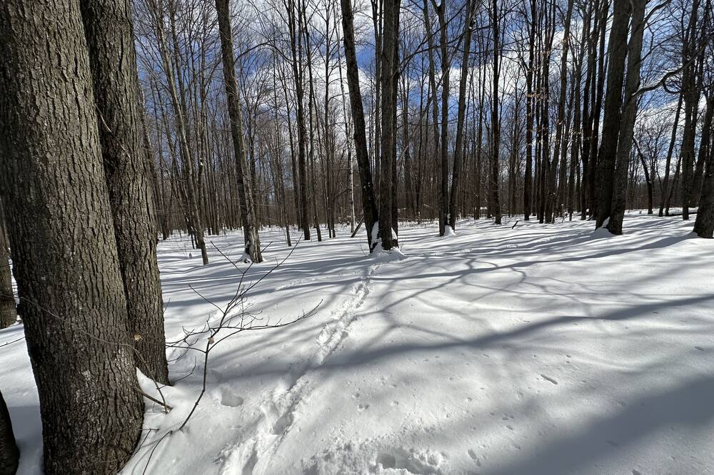 Photo of Others in Elmira