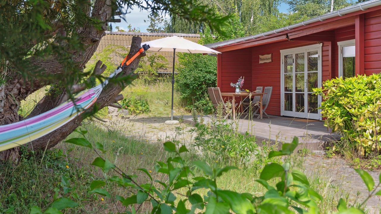 Photo of Outdoor in Or