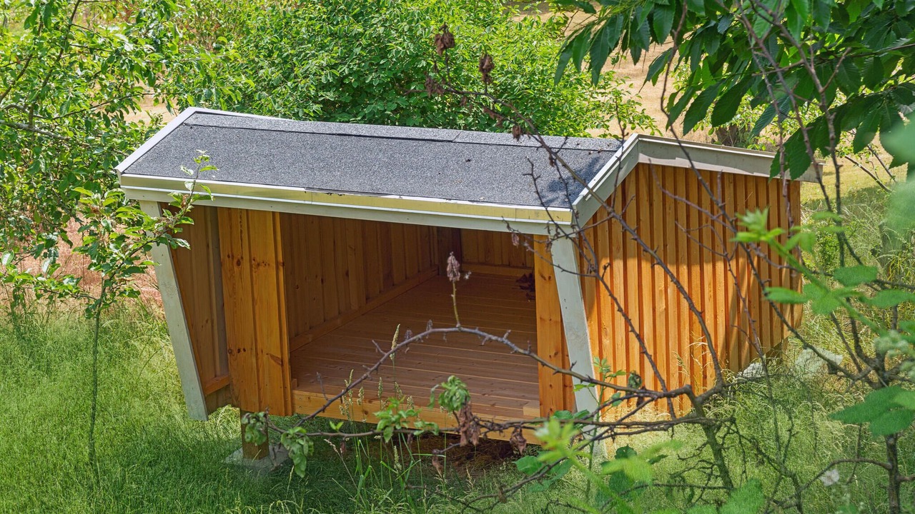 Photo of Outdoor in Or