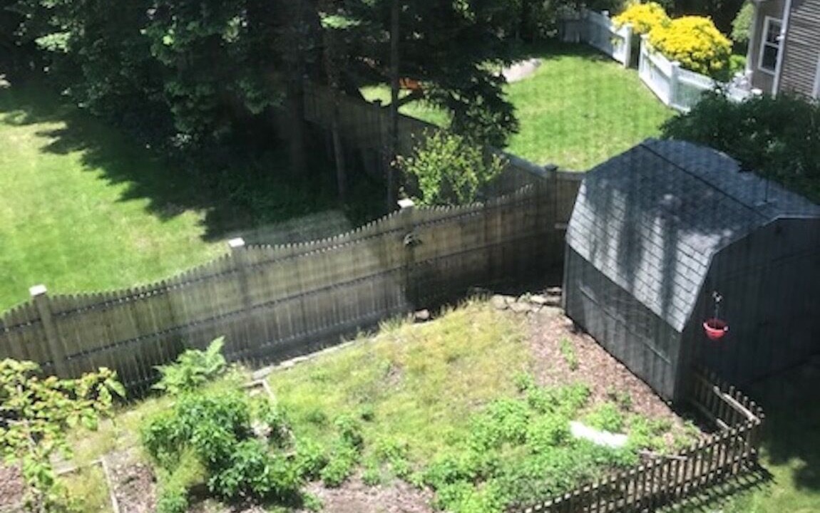 Photo of Outdoor in Greenwich