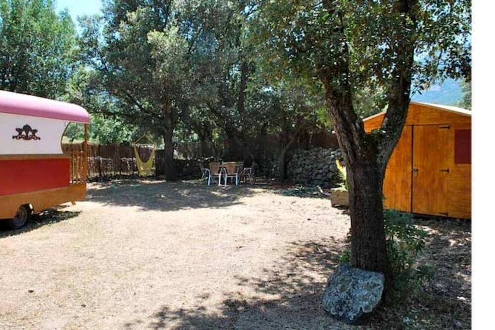 Photo of Outdoor in Moltifao