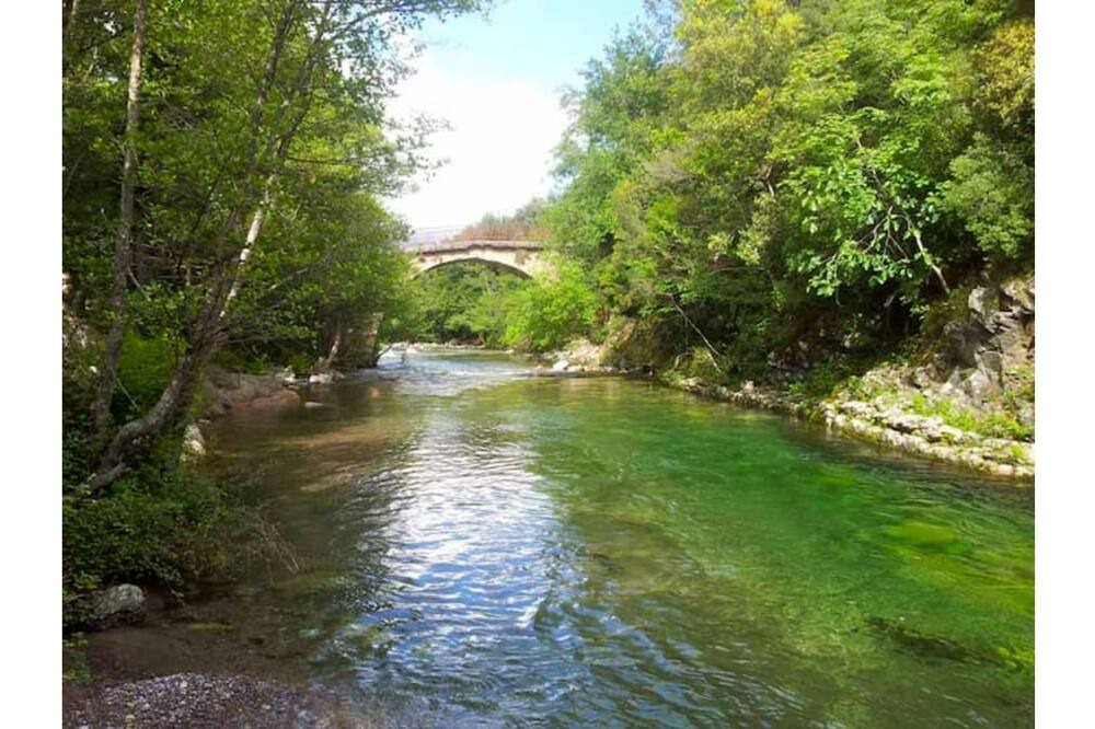 Photo of Outdoor in Moltifao