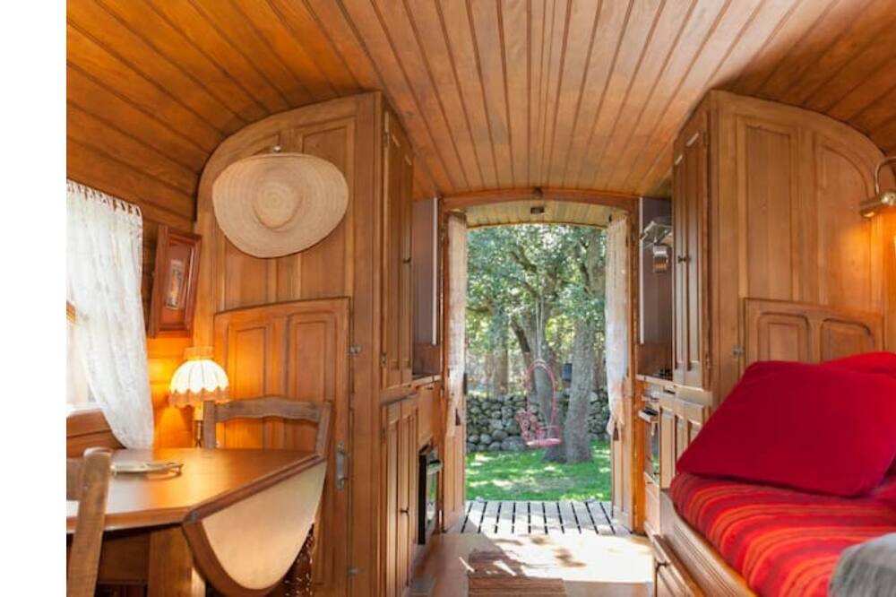 Photo of Kitchen in Moltifao