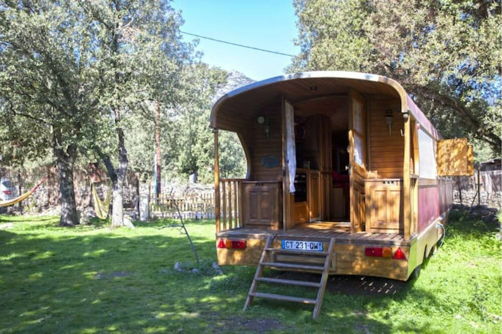 Photo of Others in Moltifao