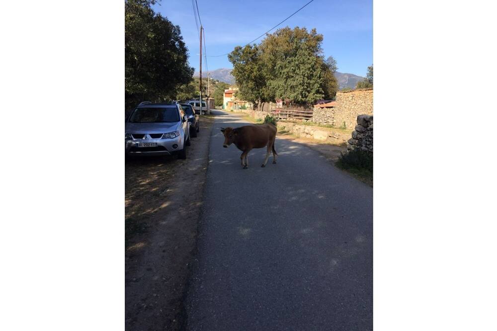 Photo of Outdoor in Moltifao