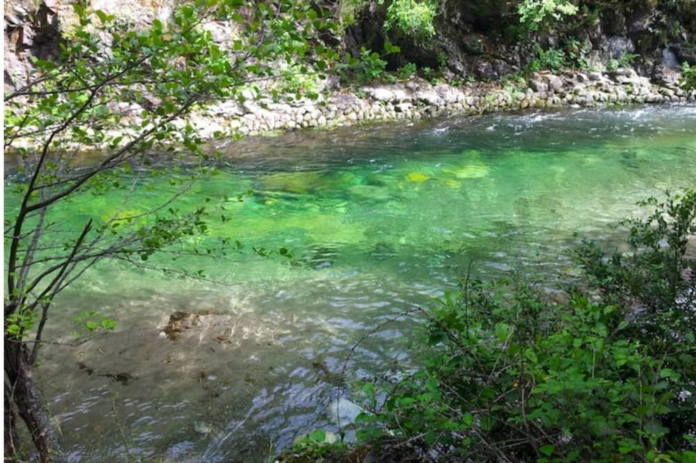 Photo of Others in Moltifao