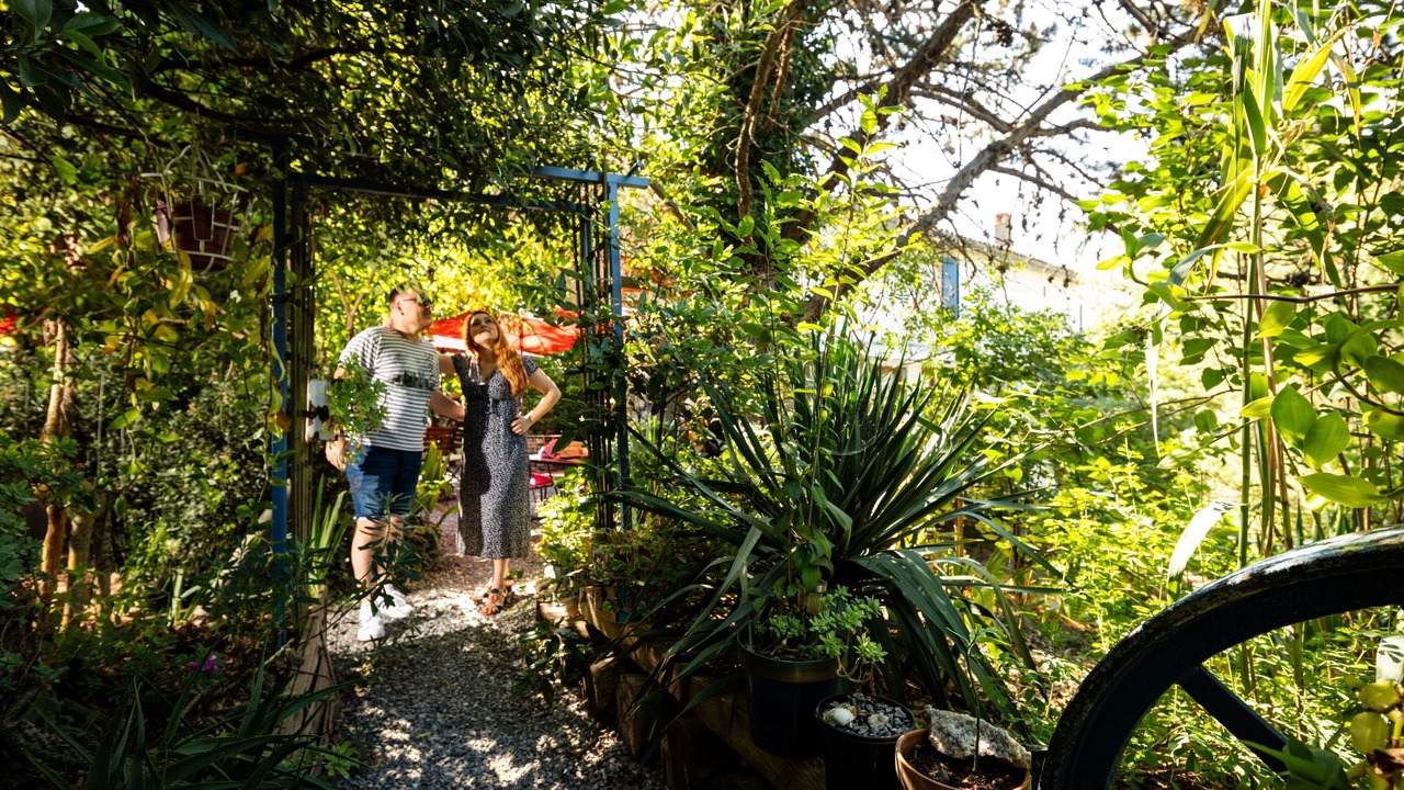 Photo of Outdoor in Durfort-et-Saint-Martin-de-Sossenac