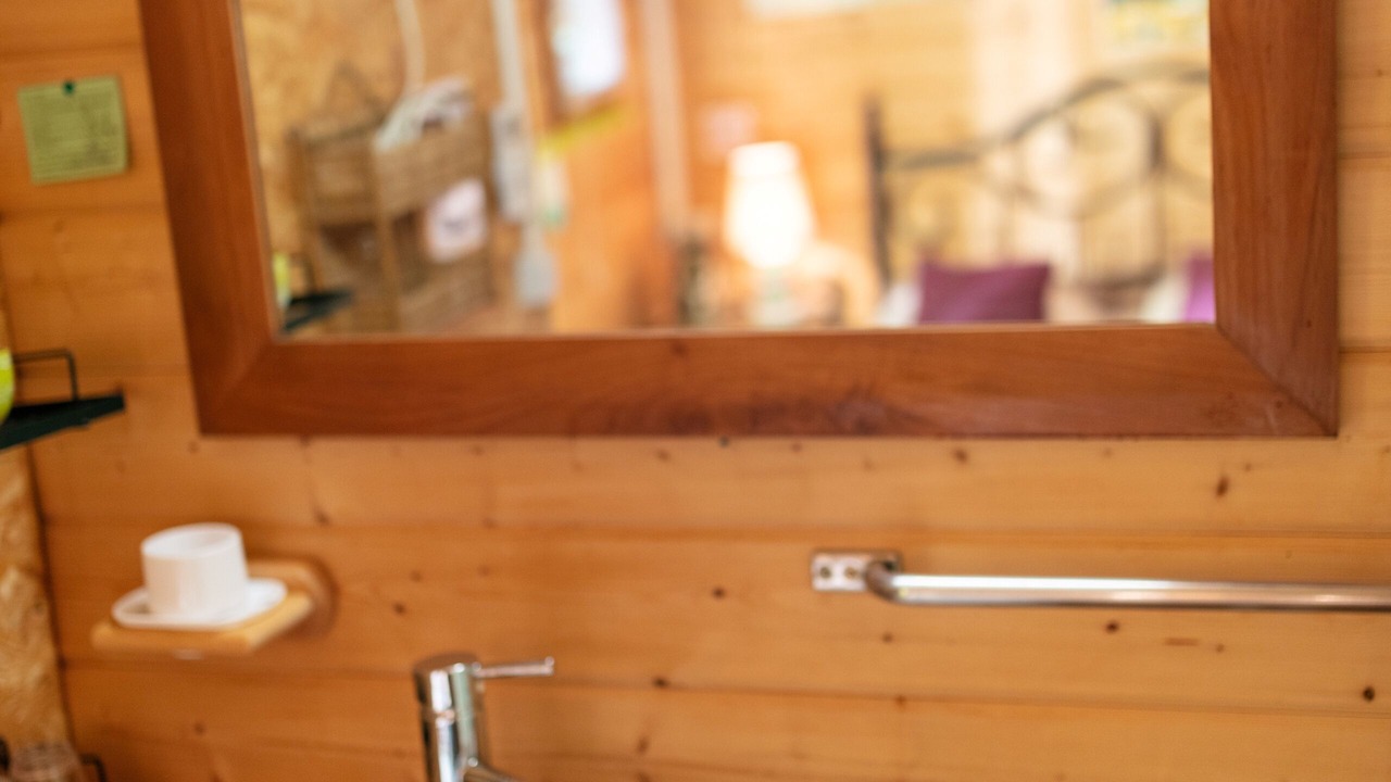 Photo of Bathroom in Durfort-et-Saint-Martin-de-Sossenac