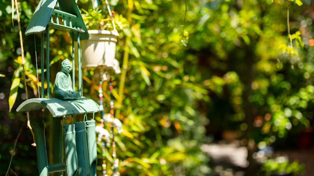 Photo of Outdoor in Durfort-et-Saint-Martin-de-Sossenac