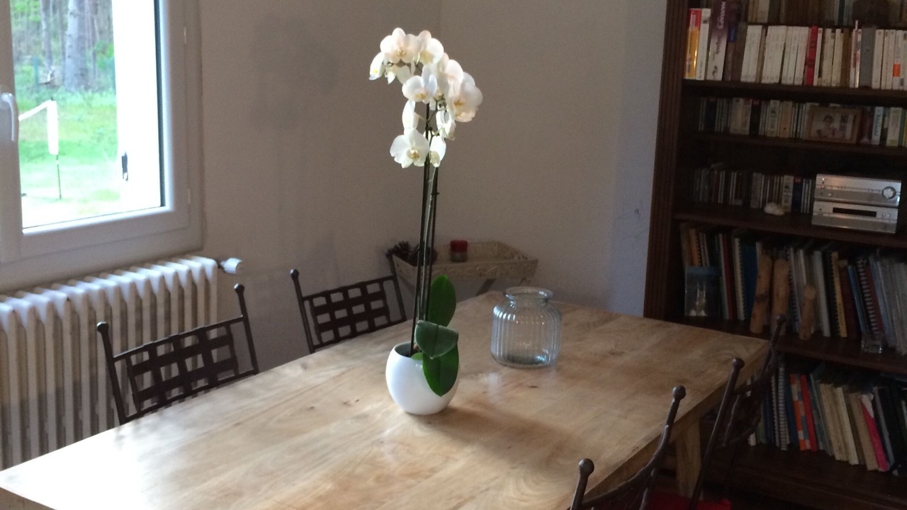 Photo of Others in Noisy-sur-Ecole