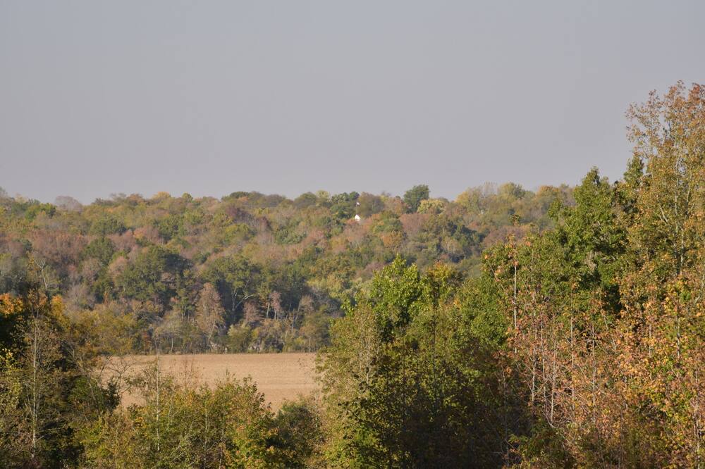 Photo of Others in Clarksville