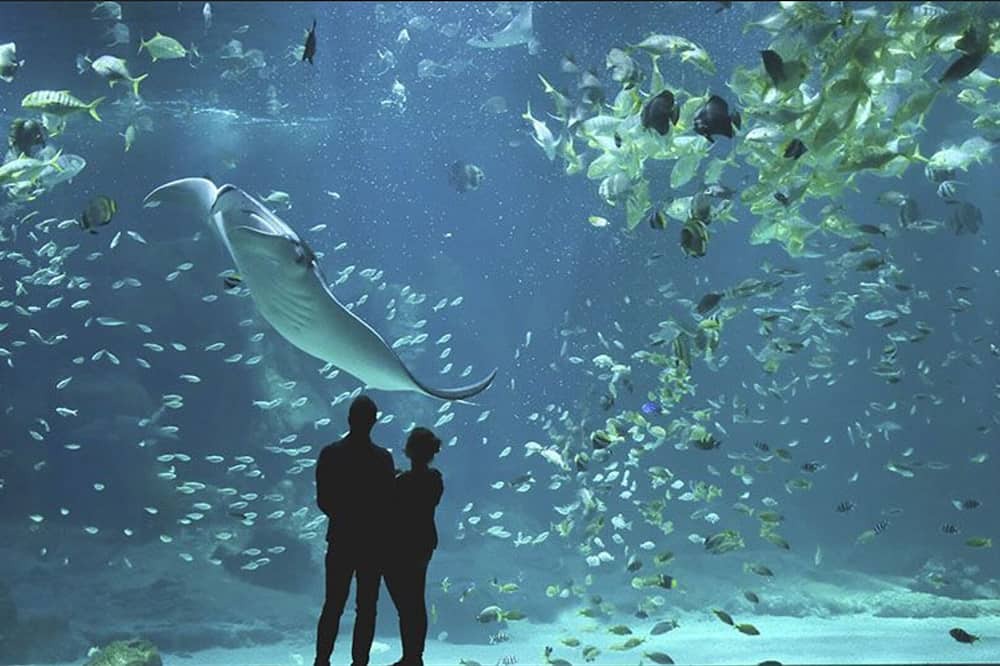 Photo of Others in Escuilles