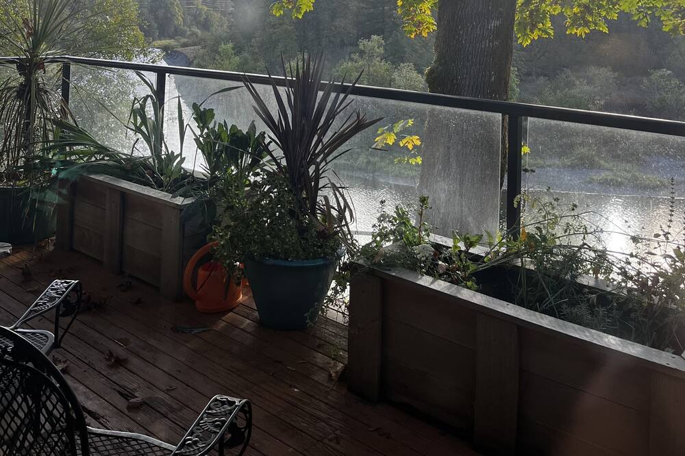 Photo of Others in Woodland