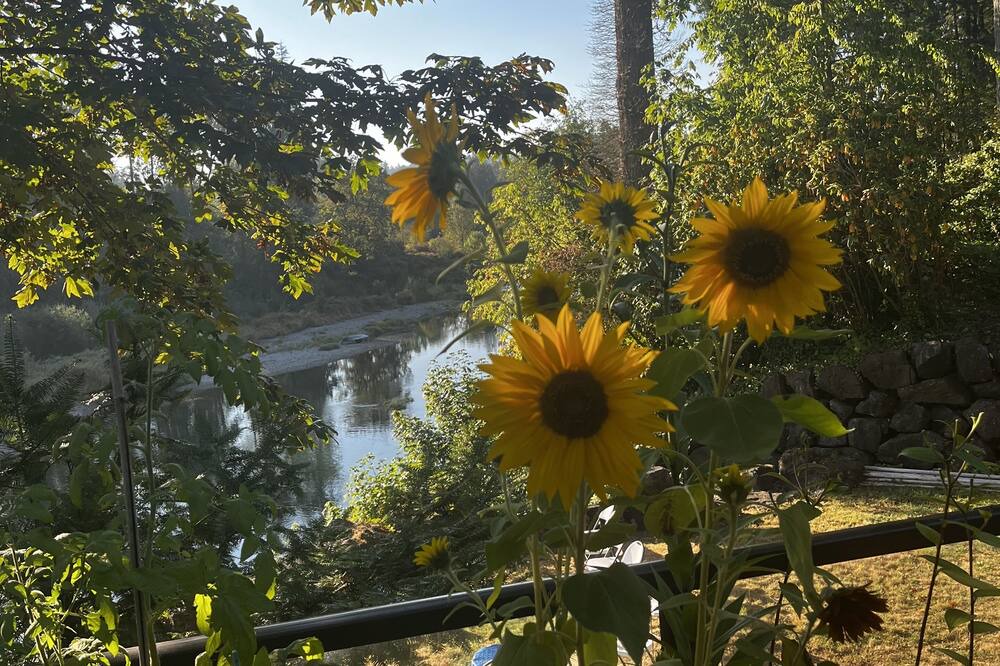 Photo of Others in Woodland