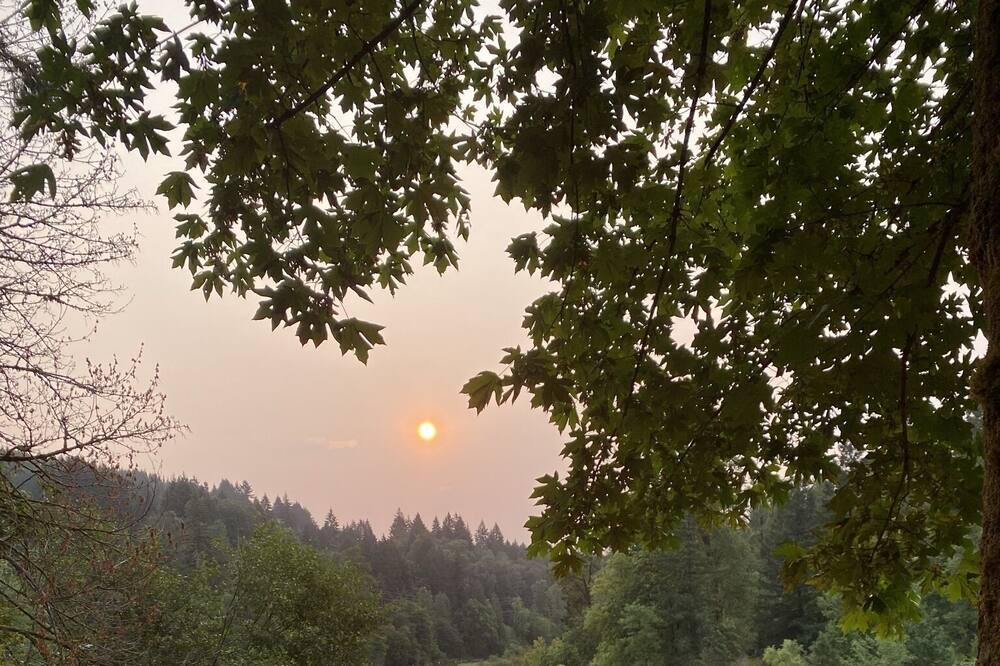 Photo of Others in Woodland