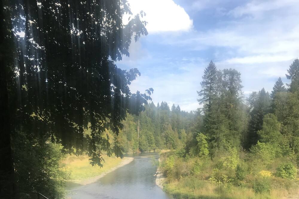 Photo of Others in Woodland