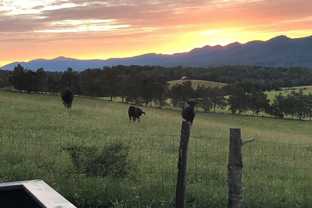 Photo of Outdoor in Fort Valley