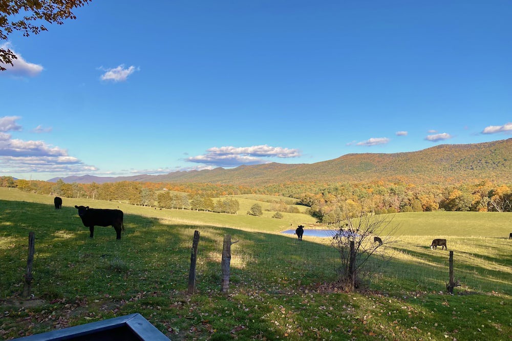 Photo of Outdoor in Fort Valley