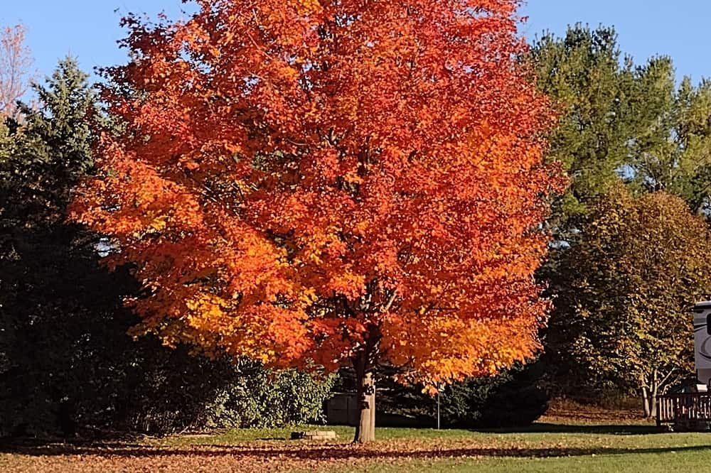 Photo of Others in Grand Isle