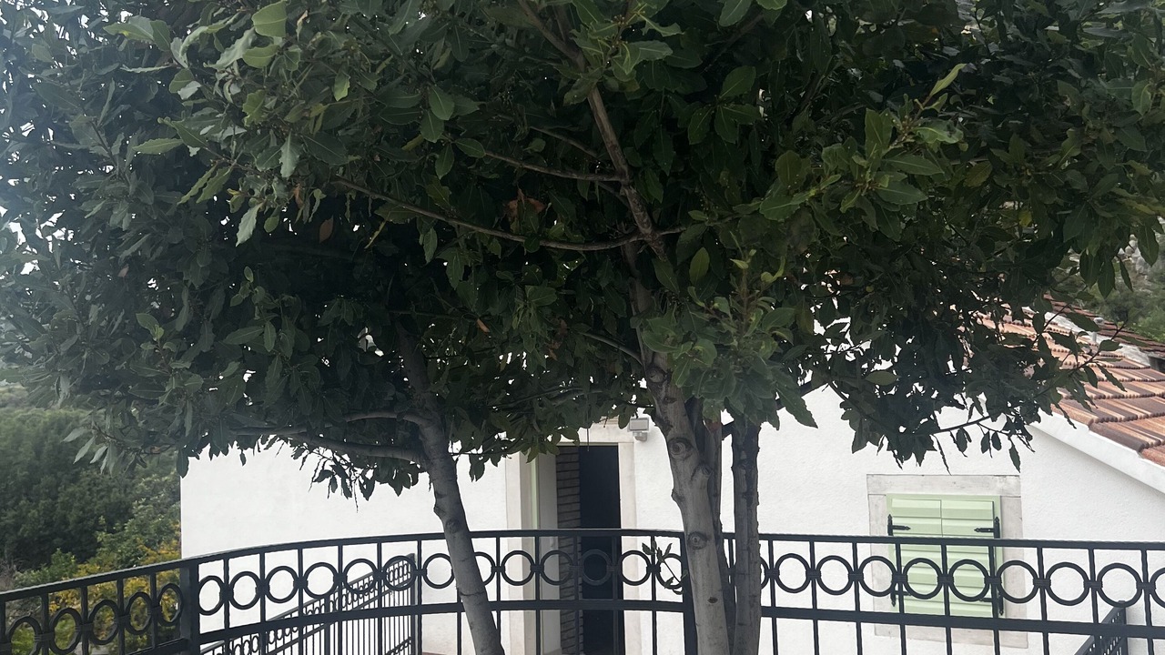 Photo of Outdoor in Kuciste