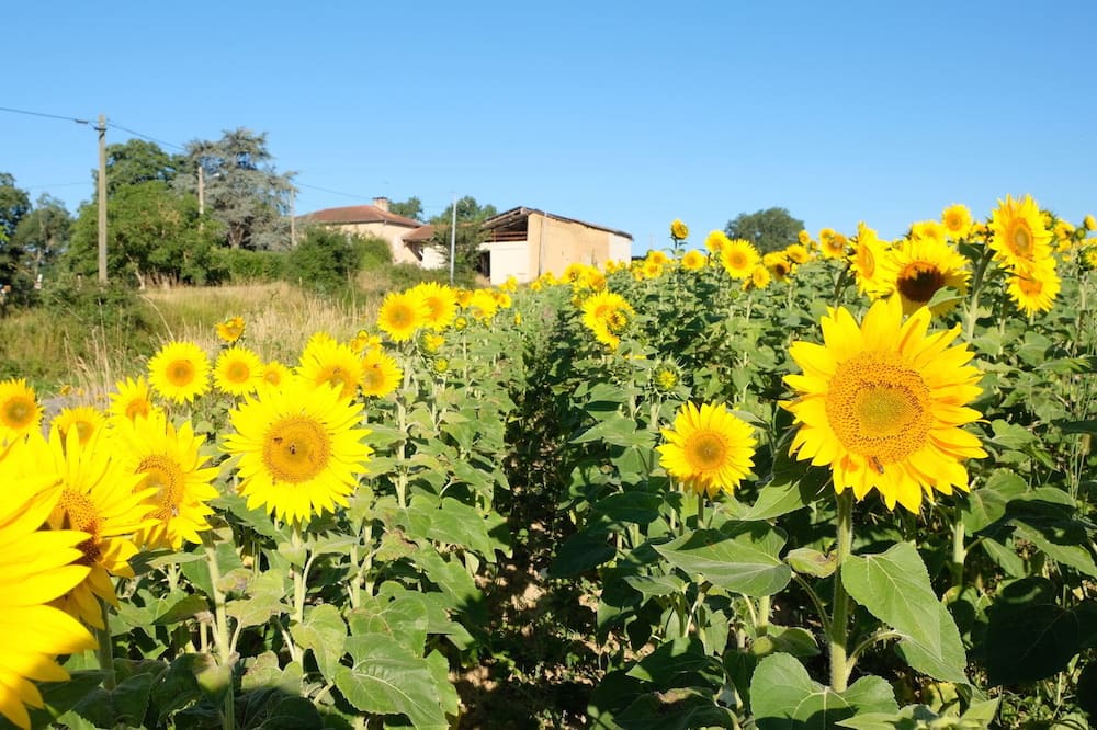 Photo of Outdoor in Montbernard