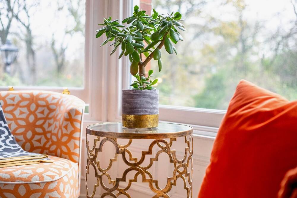 Photo of Others in Roker