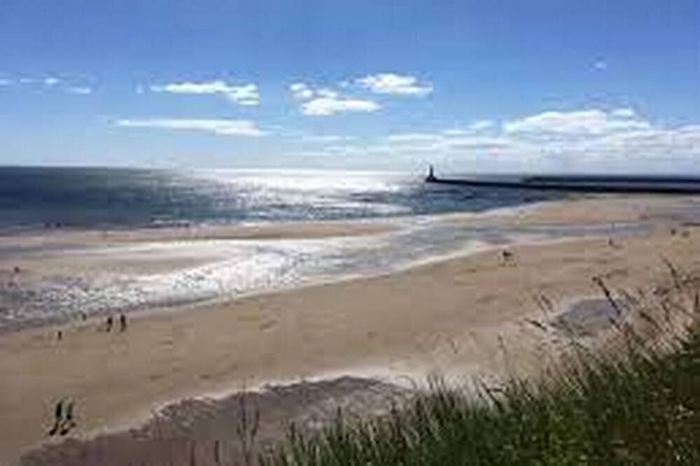 Photo of Others in Roker