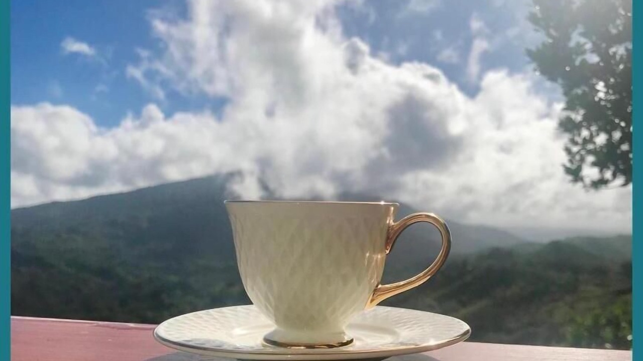 Photo of Patio Balcony in San Francisco de Macoris