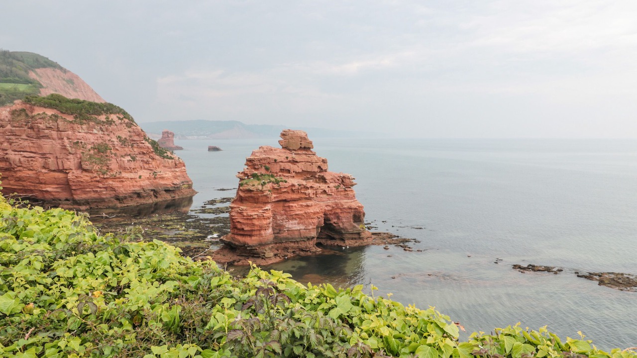 Photo of Others in Otterton