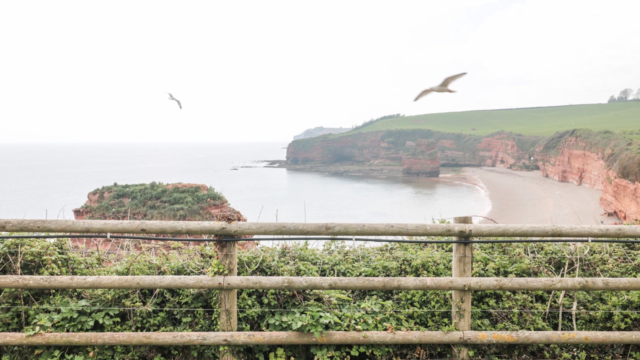 Photo of Outdoor in Otterton