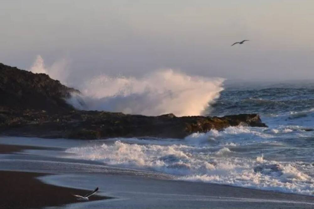 Photo of Others in Port Orford