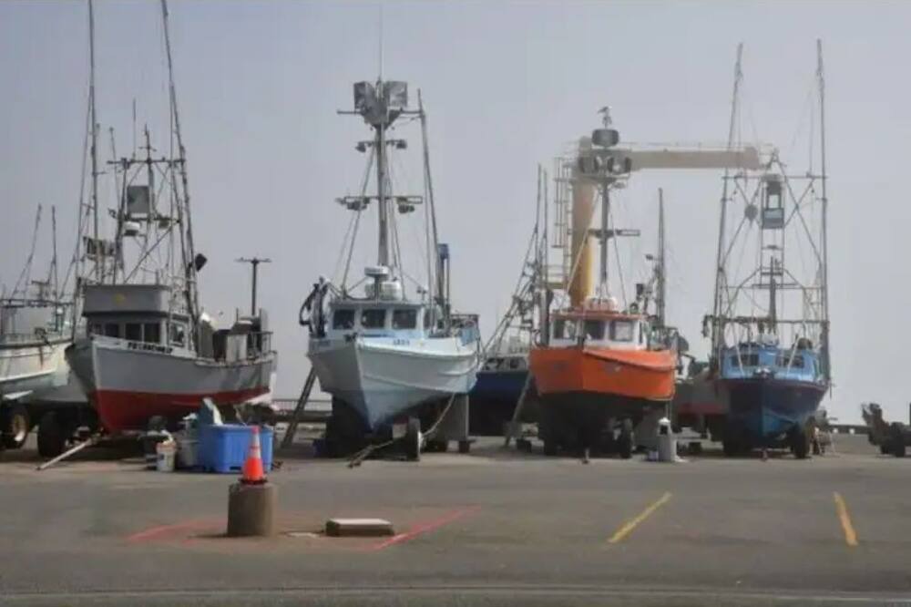 Photo of Others in Port Orford