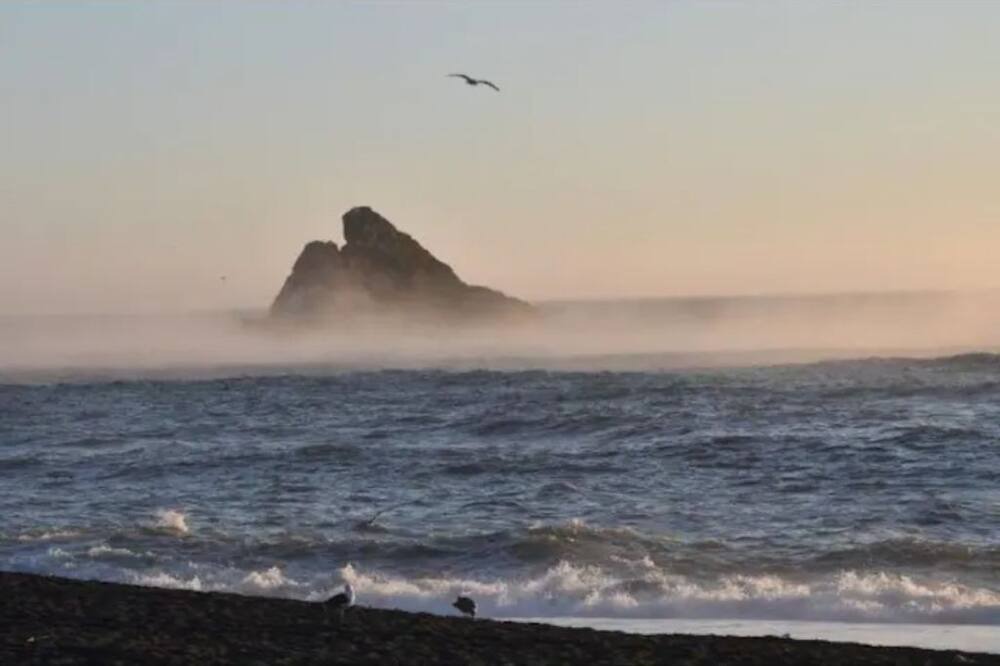 Photo of Others in Port Orford