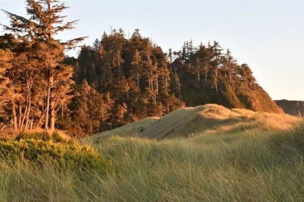 Photo of Outdoor in Port Orford