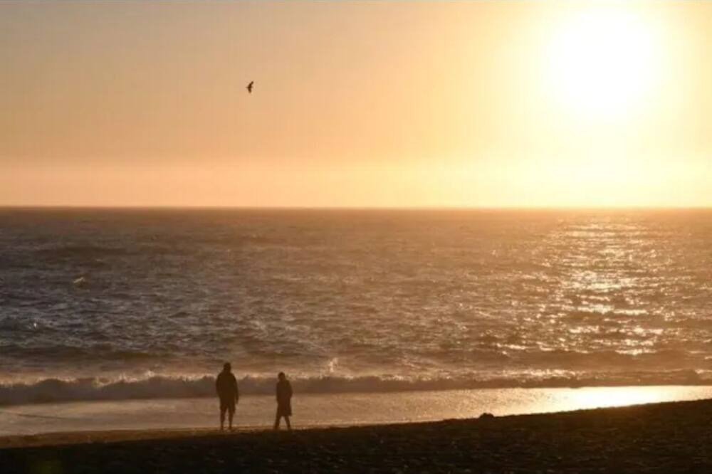 Photo of Others in Port Orford
