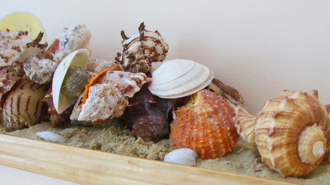 Photo of Others in Stroudsburg