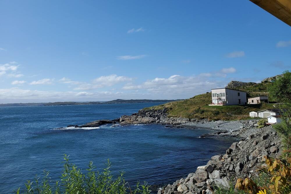 Photo of Others in Harbour Main