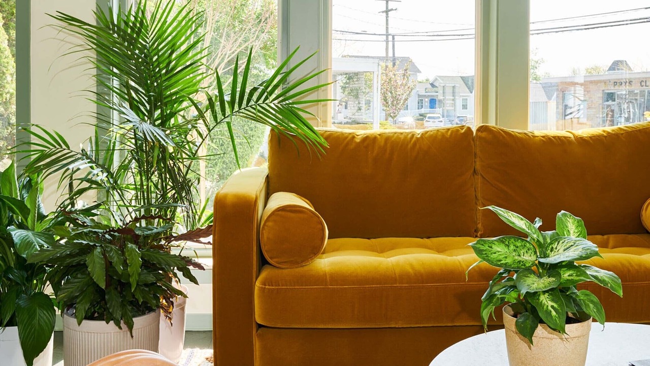 Photo of Others in Greenport