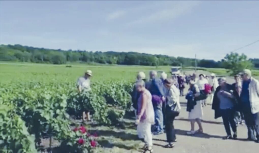 Photo of Others in Villenauxe-la-Grande