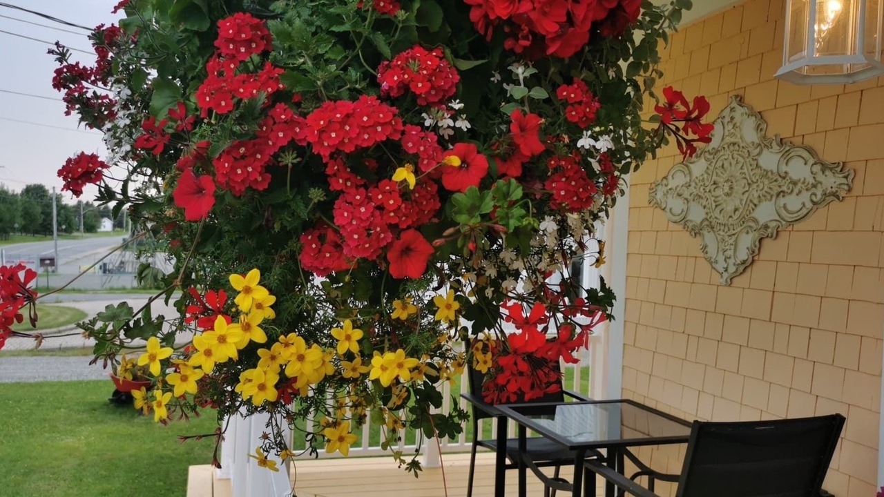 Photo of Outdoor in Macamic