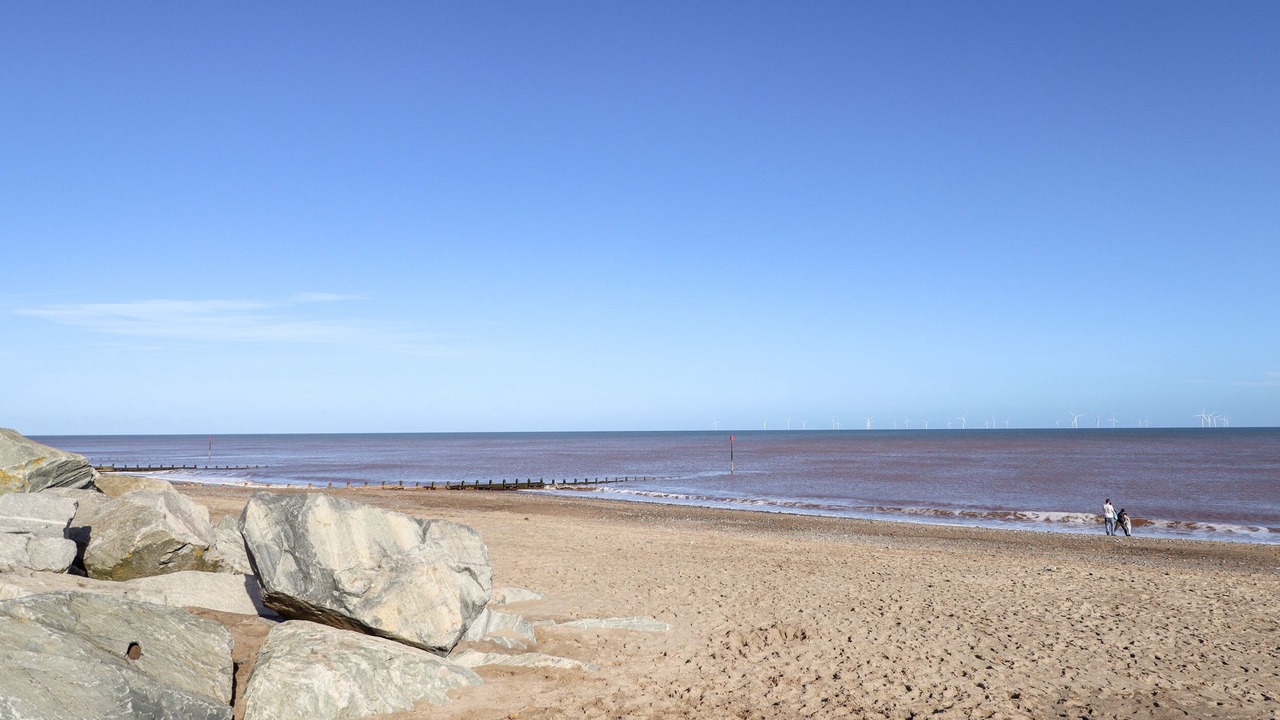 Photo of Others in Roos